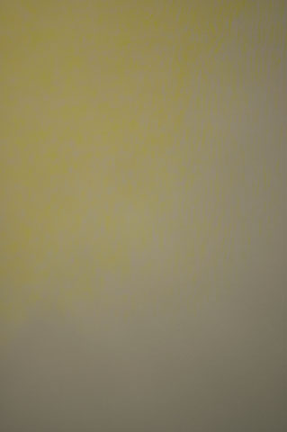 http://www.susannebruynzeel.com/files/gimgs/34_spotlr3.jpg
